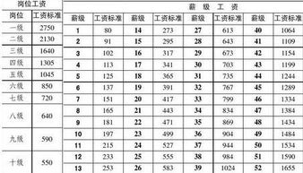 事业单位工资标准表，揭秘你的收入密码