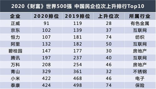 深入了解净资产，财富管理的关键指标