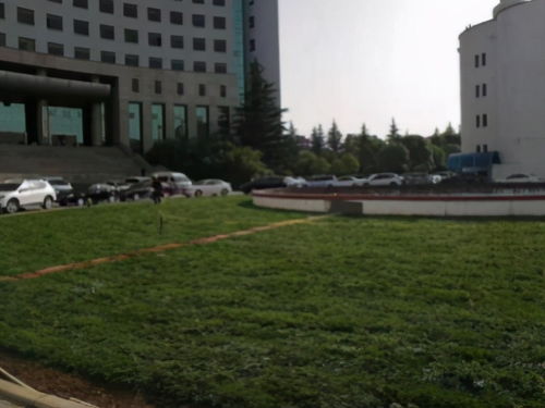 南阳人事局，人才管理与服务的桥梁