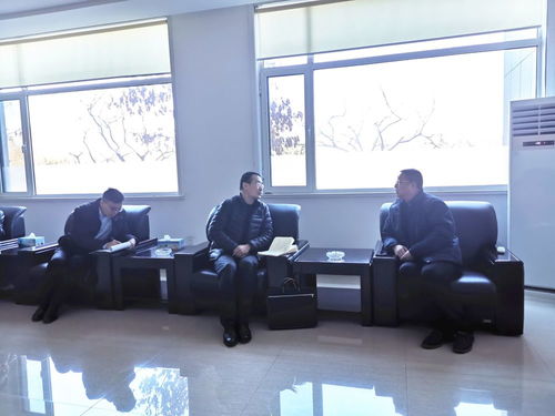 南阳人事局，人才管理与服务的桥梁