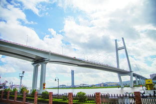 瓦房店市政府网，连接市民与政府的桥梁