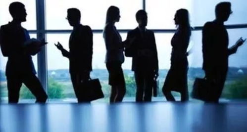 北京担保公司，金融桥梁与风险管理专家