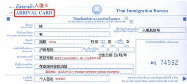 如何正确填写11月份的支票，一份详尽指南