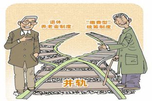 养老金双轨制，理解、影响与改革路径