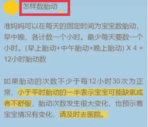 探索中山出入境，流程、注意事项与实用建议