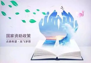 拥抱未来，开放三胎政策如何重塑家庭与社会