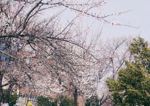 陕西战疫新动态，18例本土确诊详情揭秘