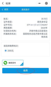 广东省社保个人查询，全面指南与实用技巧