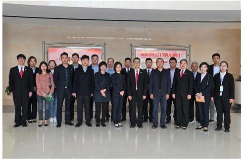 审计监督，维护经济秩序的关键力量