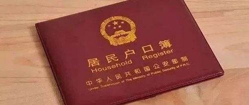 东莞户口办理指南，轻松搞定你的户籍问题