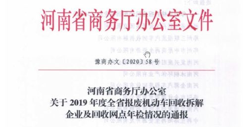 个人独资企业年检报告书，全面解读与实用指南