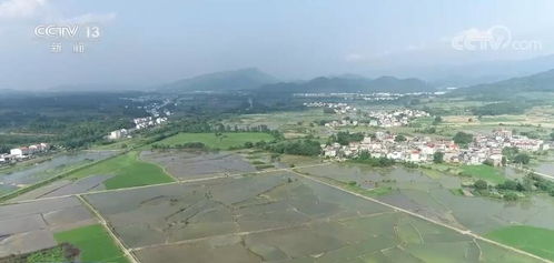 辽宁省国土资源厅，守护绿水青山，促进可持续发展