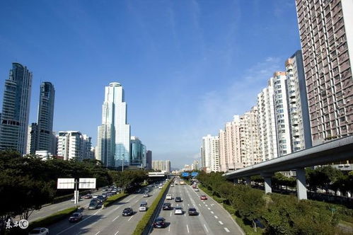 深圳抢房热潮，房地产市场的繁荣与挑战