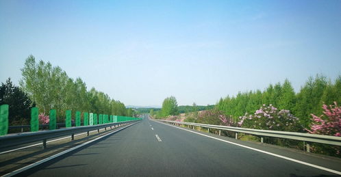 中秋节高速免费吗？一文看懂高速免费政策及出行攻略
