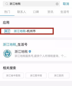 浙江地税网上申报，一键轻松搞定税务，让生活更便捷
