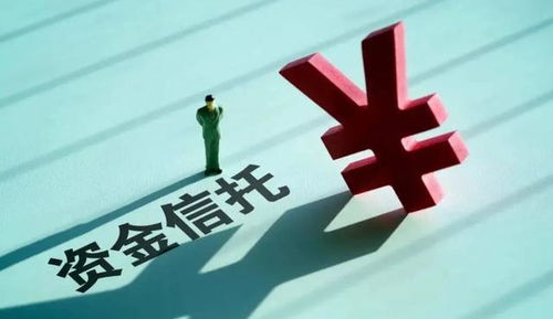 金融迷局，深入剖析银行案件背后的真相与启示
