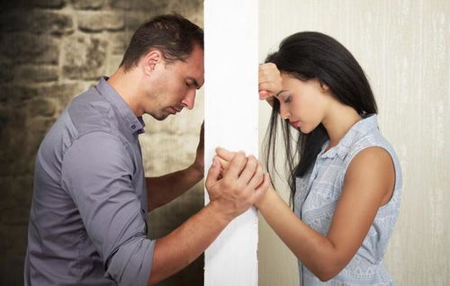 婚姻中的忠诚与背叛，男子以妻子出轨诉离婚被驳回的法律解析