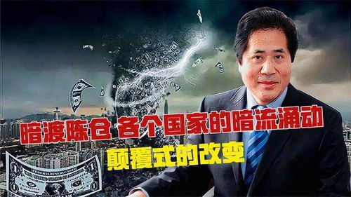 暗流涌动，揭秘厦门惊天走私案背后的黑幕与真相