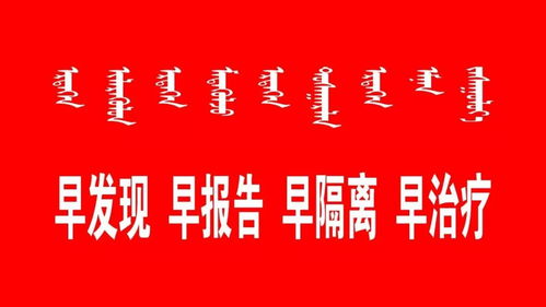 内蒙古呼和浩特疫情，挑战与应对，团结一心共克时艰