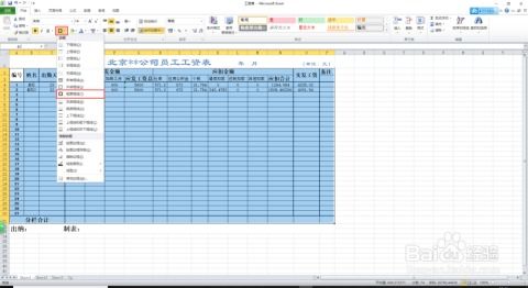 全面解析，如何创建和理解工资表样本