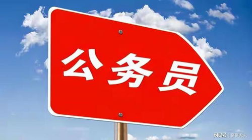 公务员之路，深入了解成为公务员的要求