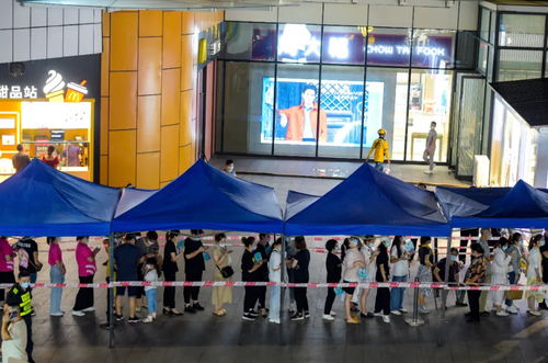 青岛疫情新动态，96例本土病例的警示与防控策略
