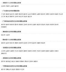 社会养老保险查询指南，如何轻松掌握您的退休金信息