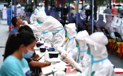 河北疫情新动态，新增本土确诊病例10例的应对与预防