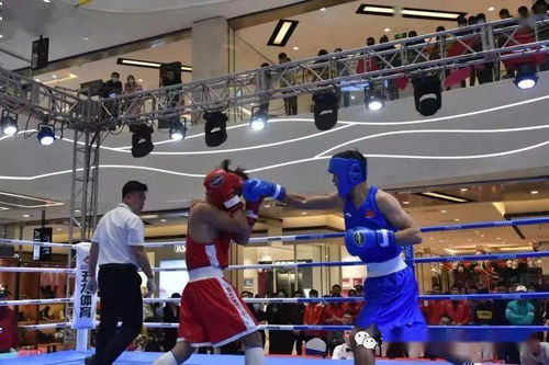 承德技师学院的拳击赛，校园冲突的警示与反思