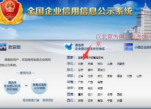 北京工商年检网上申报全攻略，简化流程，提升效率
