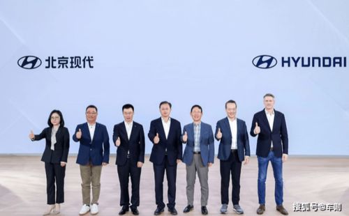 探索约会出租网，现代爱情与科技的交汇点