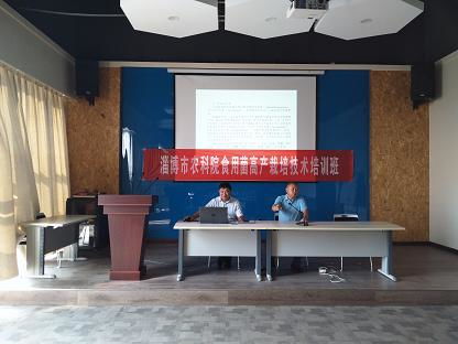 淄博市政府，城市发展的舵手，市民生活的守护者