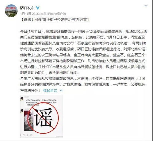 2020年武汉，疫情的风暴中心与最终确诊人数的深度解析