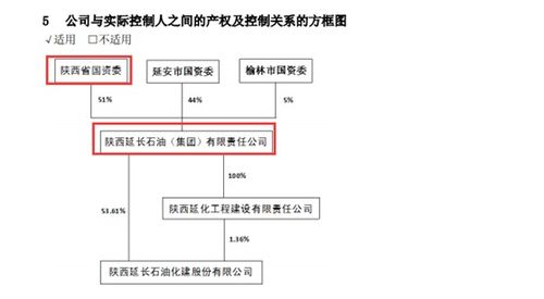 从蓝图到现实，深入解析建设工程竣工验收报告的重要性与流程