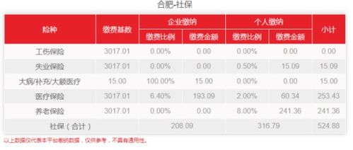 南海社保个人查询指南，轻松掌握您的社保信息