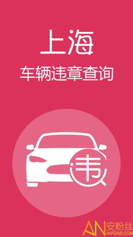 上海车辆违章查询，便捷、高效，保障您的出行安全