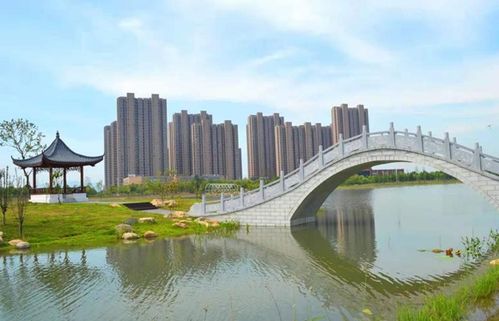 龙岩经济适用房，实现安居梦想的桥梁