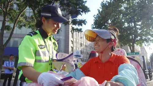 盐城公安网，守护平安，服务人民的数字化平台