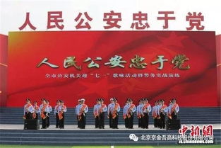 盐城公安网，守护平安，服务人民的数字化平台