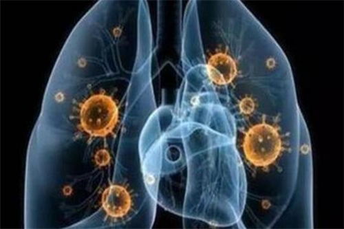 浙江省新型肺炎，与病毒共舞的日常生活