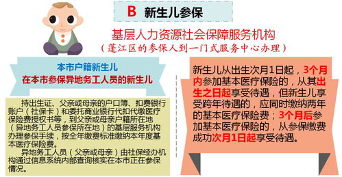 北京生育保险报销指南，政策解读与实用建议