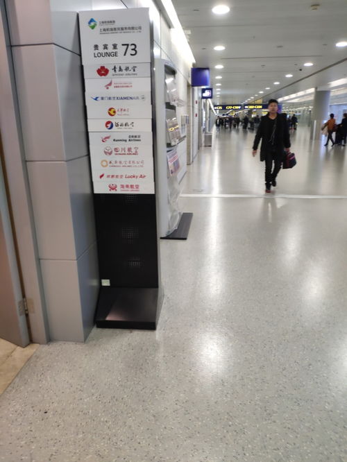 驾驭梦想，分期而行 招商银行分期购车全解析