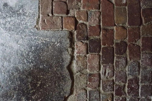 三河房屋出租，掌握市场动态，打造理想家园