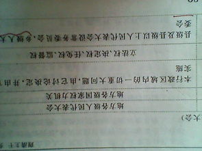 探索民族自治地方的自治机关，权力、责任与挑战