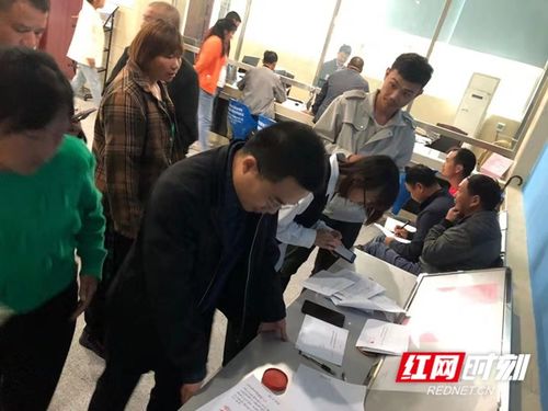 成都最新防疫通告，理解与行动指南