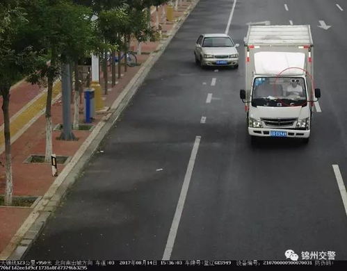 江门违章查询，便捷服务与安全驾驶的双重保障