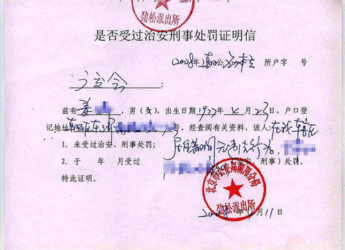 政审证明材料，了解、准备与提交指南