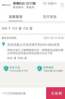 平顶山违章查询网，一站式解决您的交通违章问题