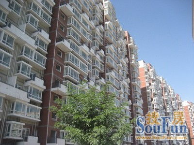 新华区租房指南，如何在城市心脏地带找到理想的家