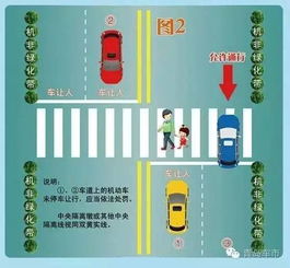 违规行为的分类与理解，深入探讨违规行为的几大类别